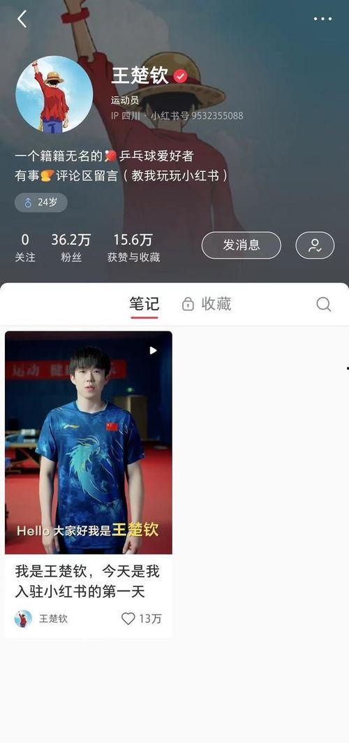 小红书爆料王楚钦视频,赛场风采引热议