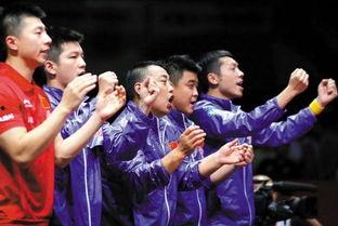 国乒爆料田亮视频在线观看,精彩瞬间在线观看  第3张